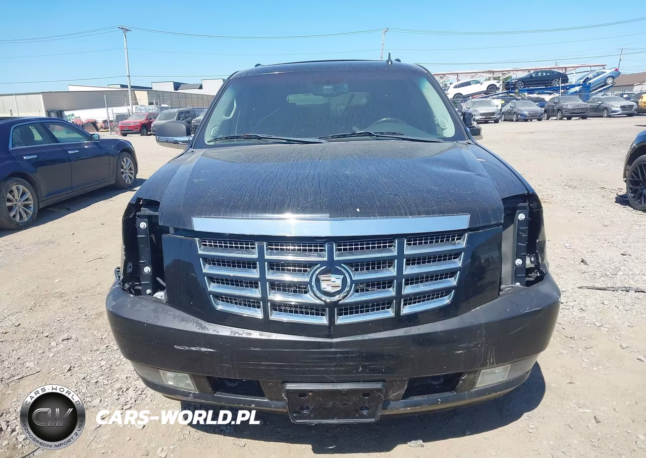 2010 Cadillac Escalade Luxury VIN:1GYUKBEF4AR122260 - 12