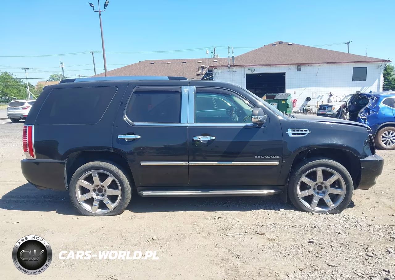 2010 Cadillac Escalade Luxury VIN:1GYUKBEF4AR122260 - 13
