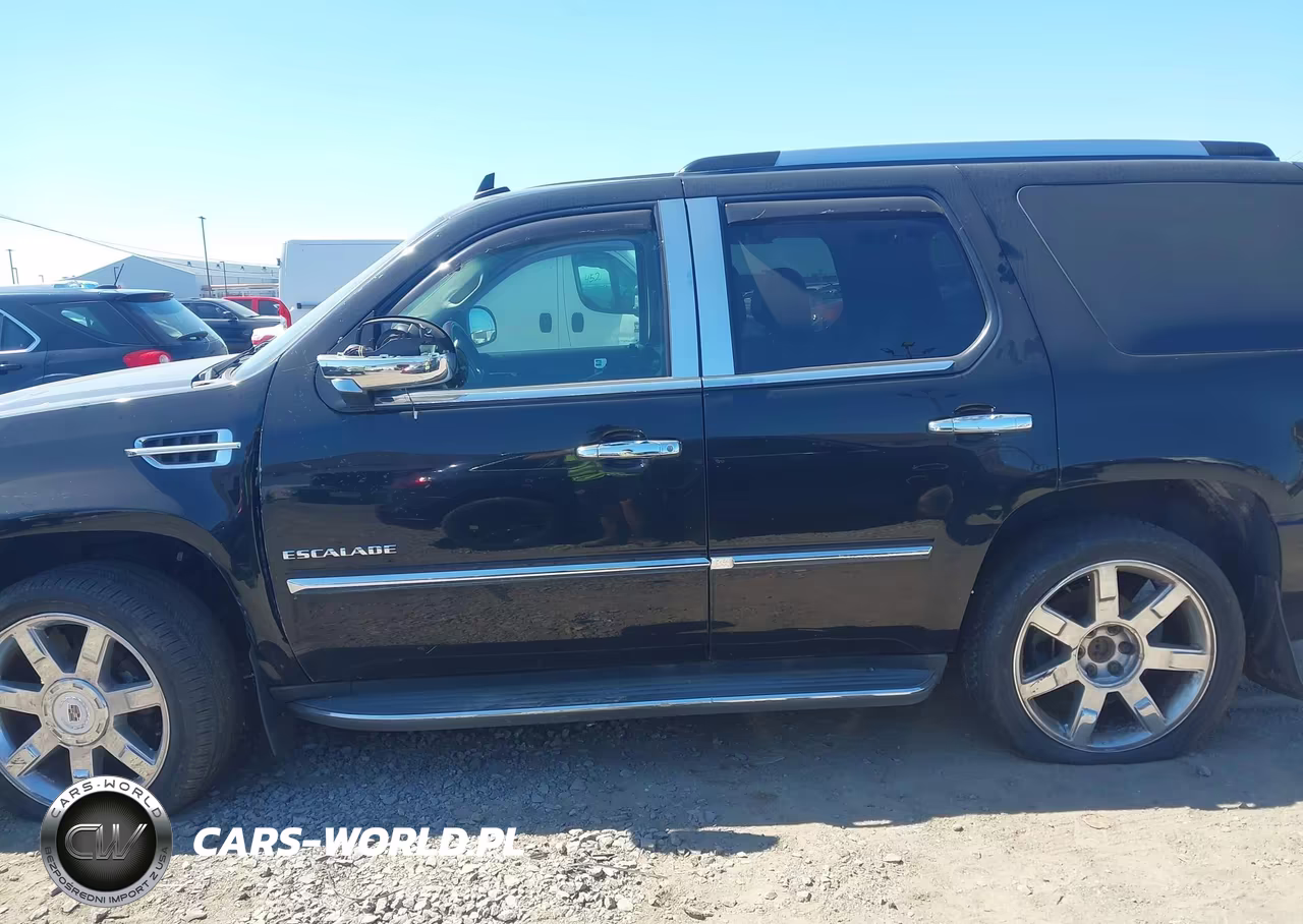 2010 Cadillac Escalade Luxury VIN:1GYUKBEF4AR122260 - 14