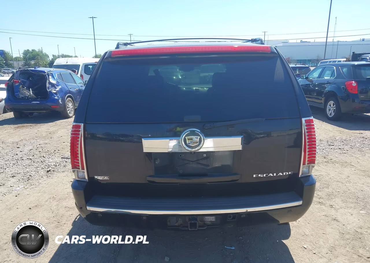 2010 Cadillac Escalade Luxury VIN:1GYUKBEF4AR122260 - 16