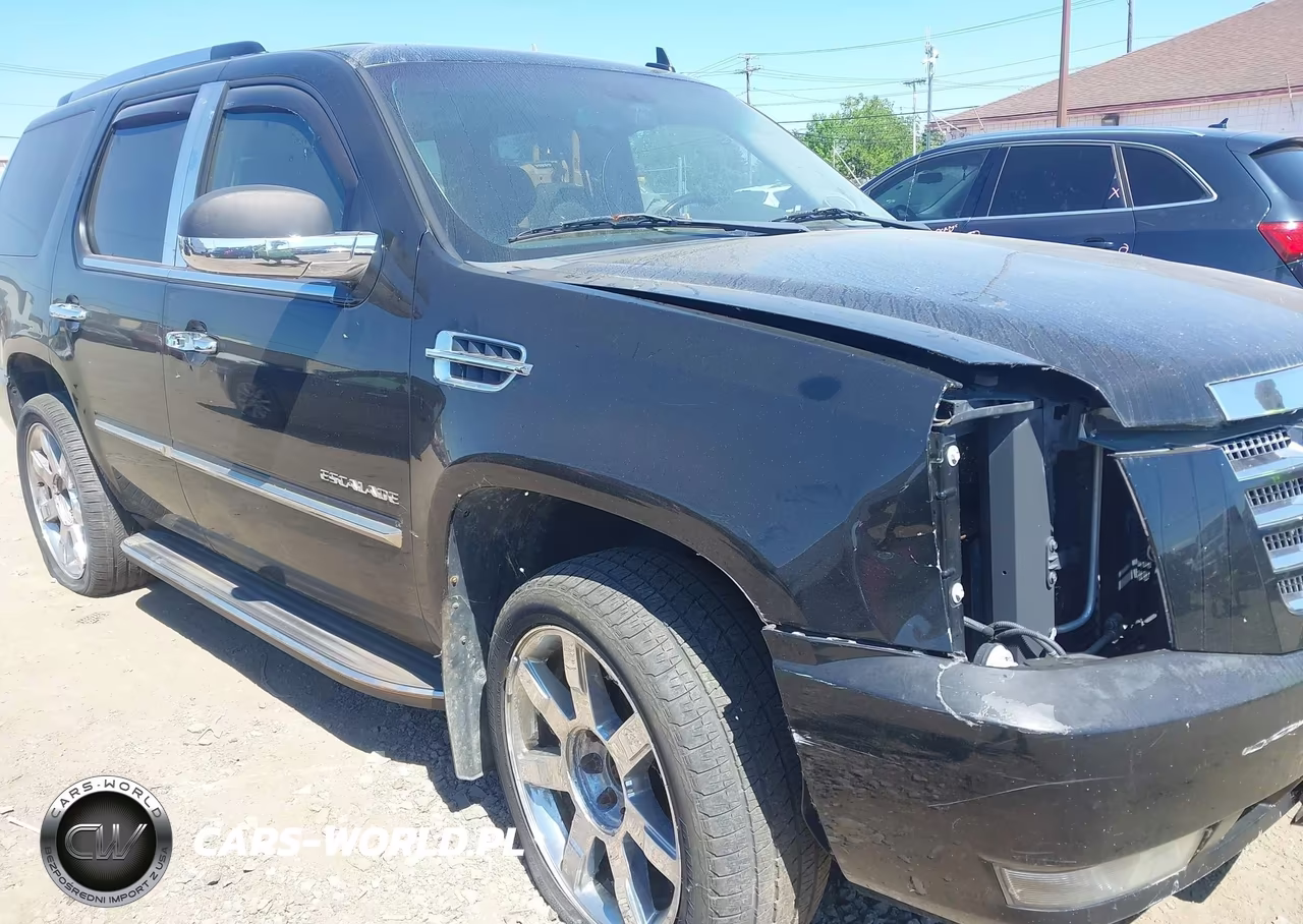 2010 Cadillac Escalade Luxury VIN:1GYUKBEF4AR122260 - 17