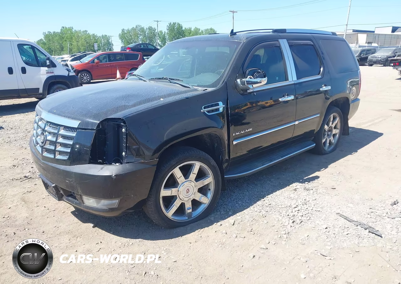 2010 Cadillac Escalade Luxury VIN:1GYUKBEF4AR122260 - 2