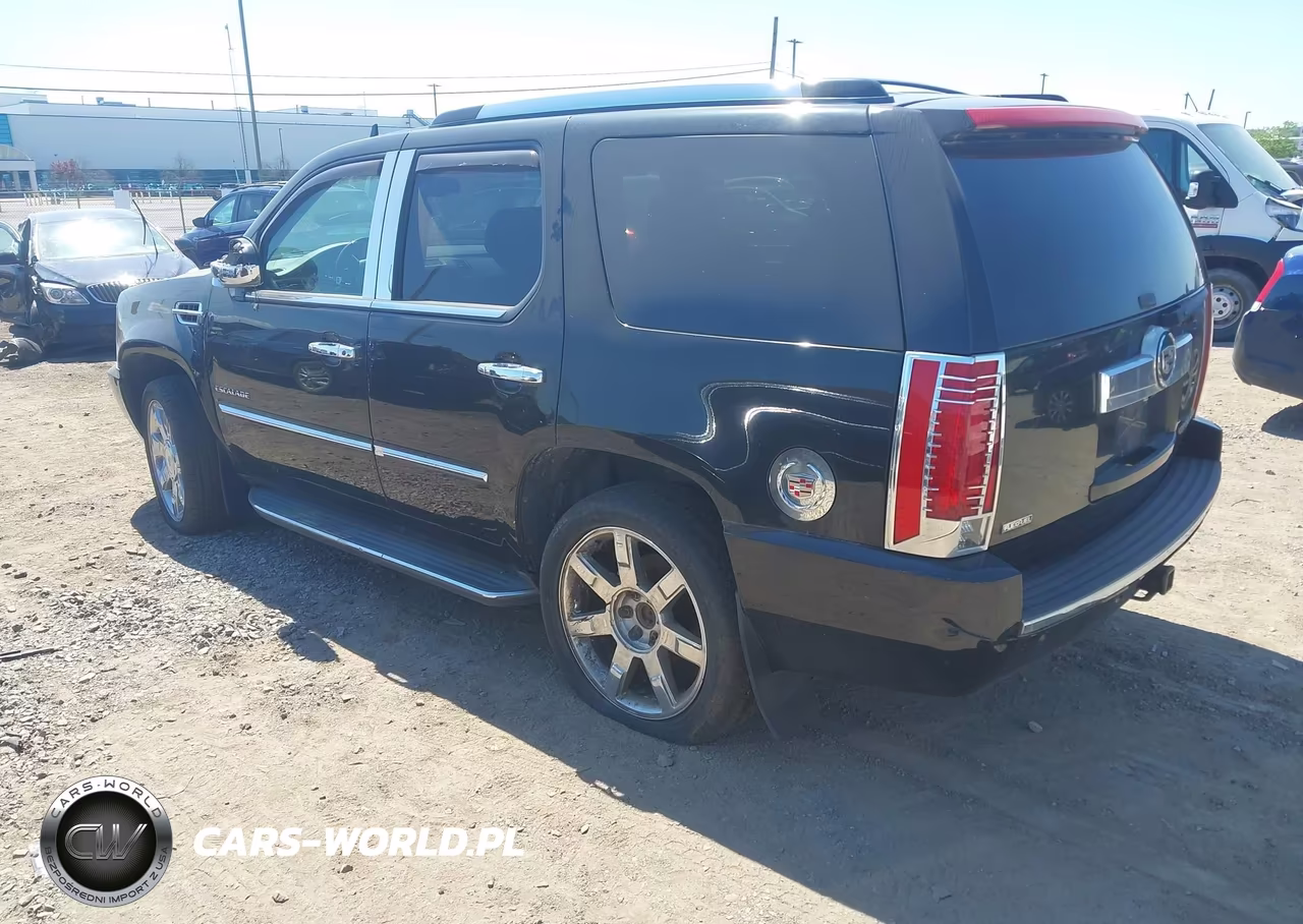 2010 Cadillac Escalade Luxury VIN:1GYUKBEF4AR122260 - 3