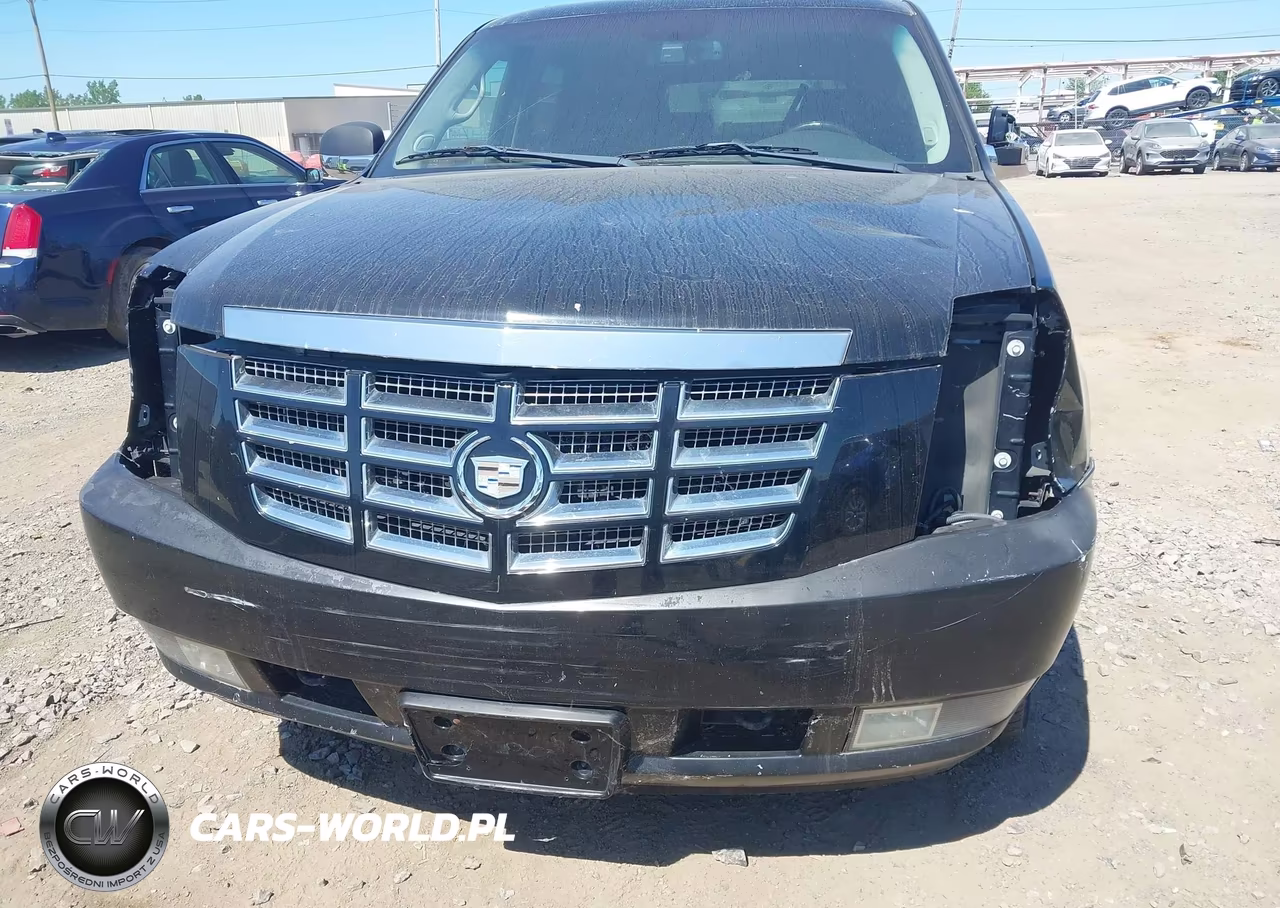 2010 Cadillac Escalade Luxury VIN:1GYUKBEF4AR122260 - 6