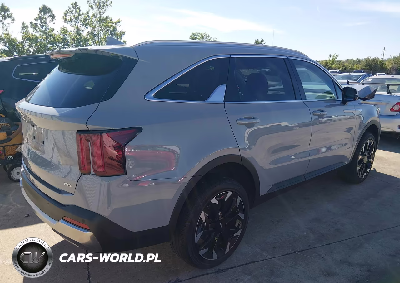 2025 Kia Sorento Ex VIN:5XYRHDJF2SG383768 - 4