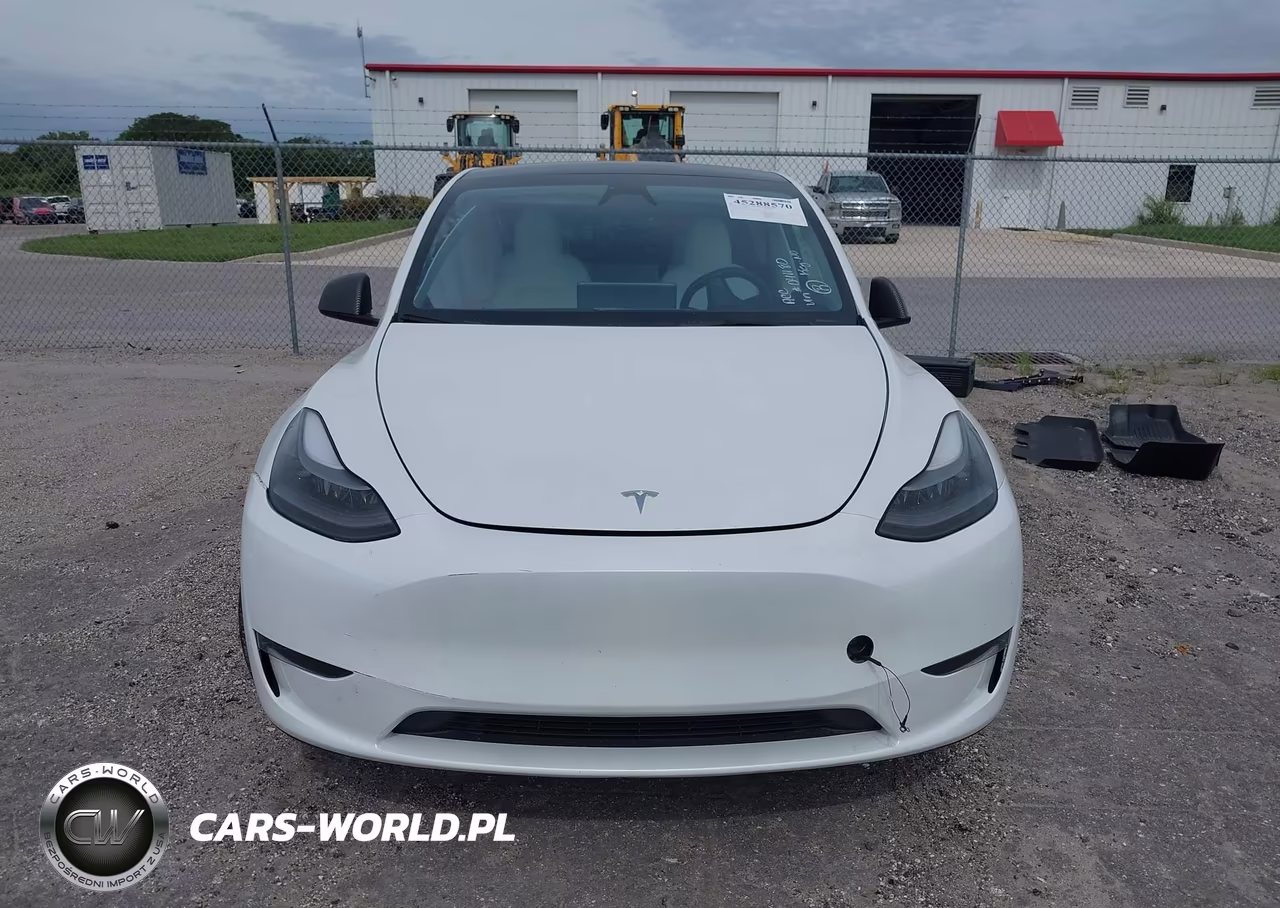 2024 Tesla Model Y Long Range Single Motor Rear-Wheel Drive-Rwd VIN:7SAYGDED7RF041180 - 10