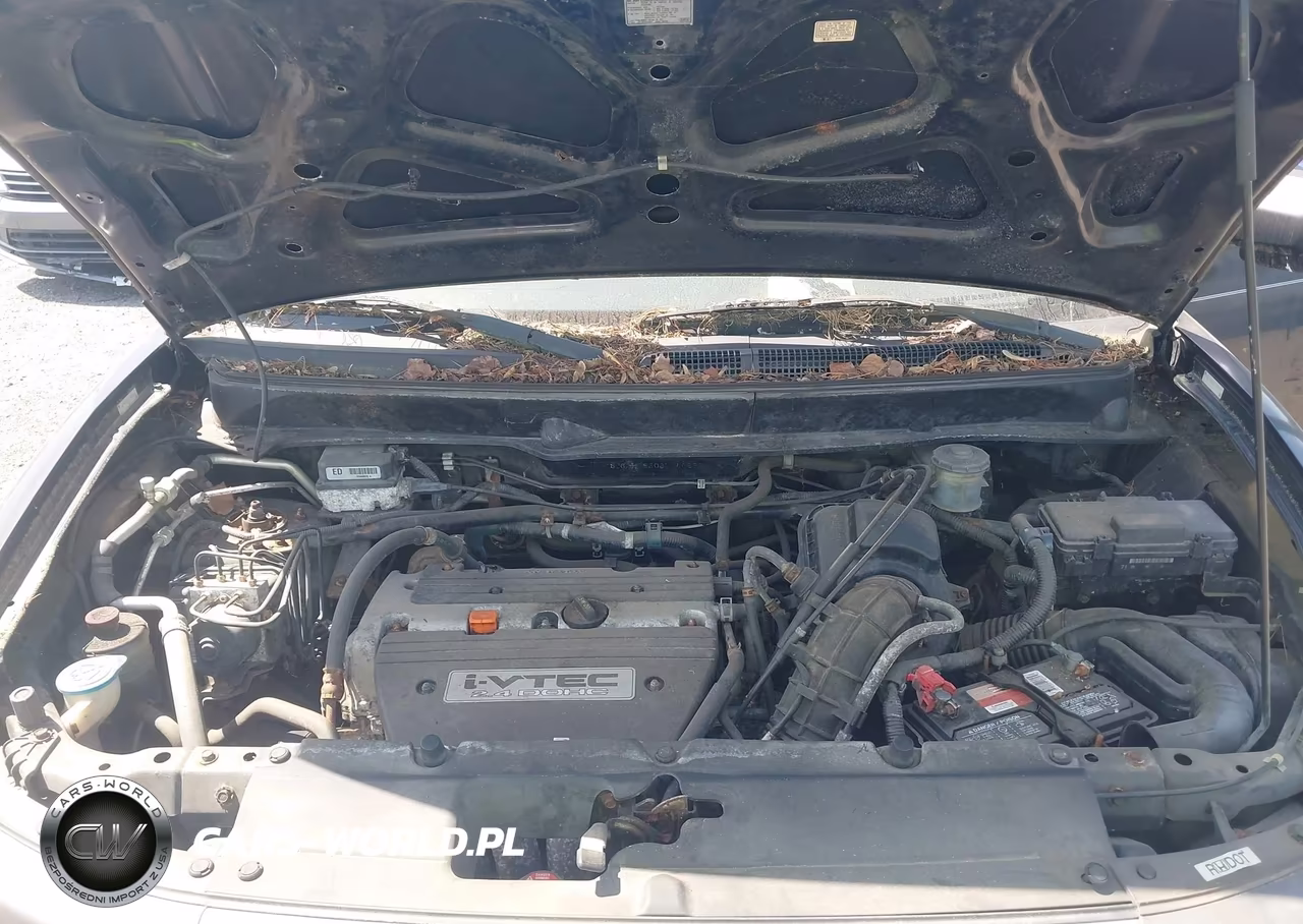 2003 Honda Element Ex VIN:5J6YH28503L040650 - 10