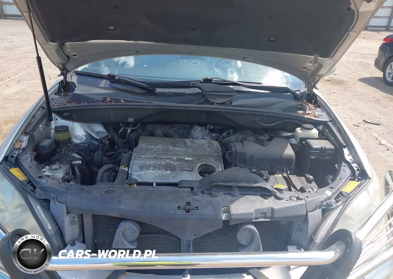2004 Lexus Rx 330 VIN:2T2HA31U04C026494 - 10