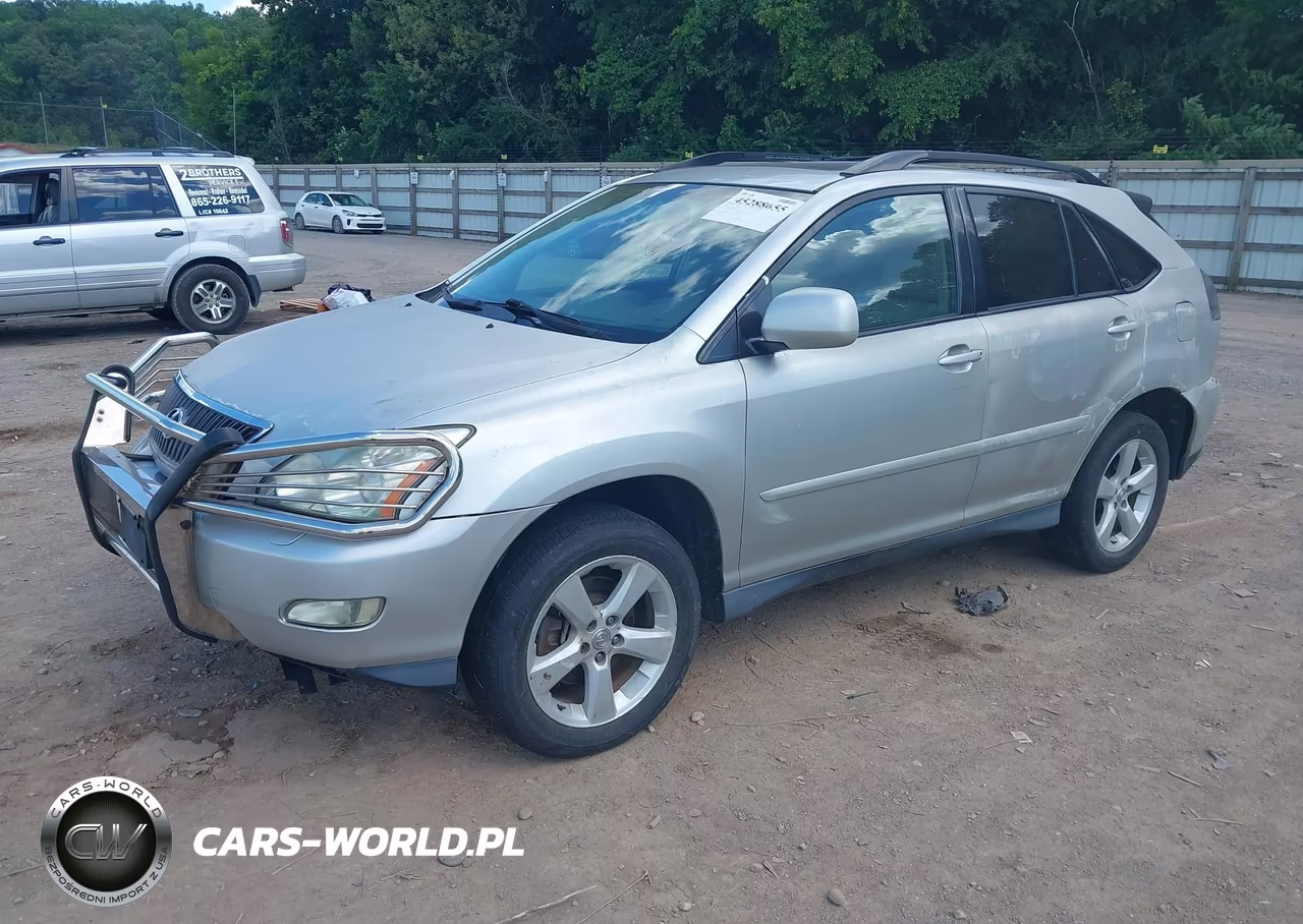 2004 Lexus Rx 330 VIN:2T2HA31U04C026494 - 2