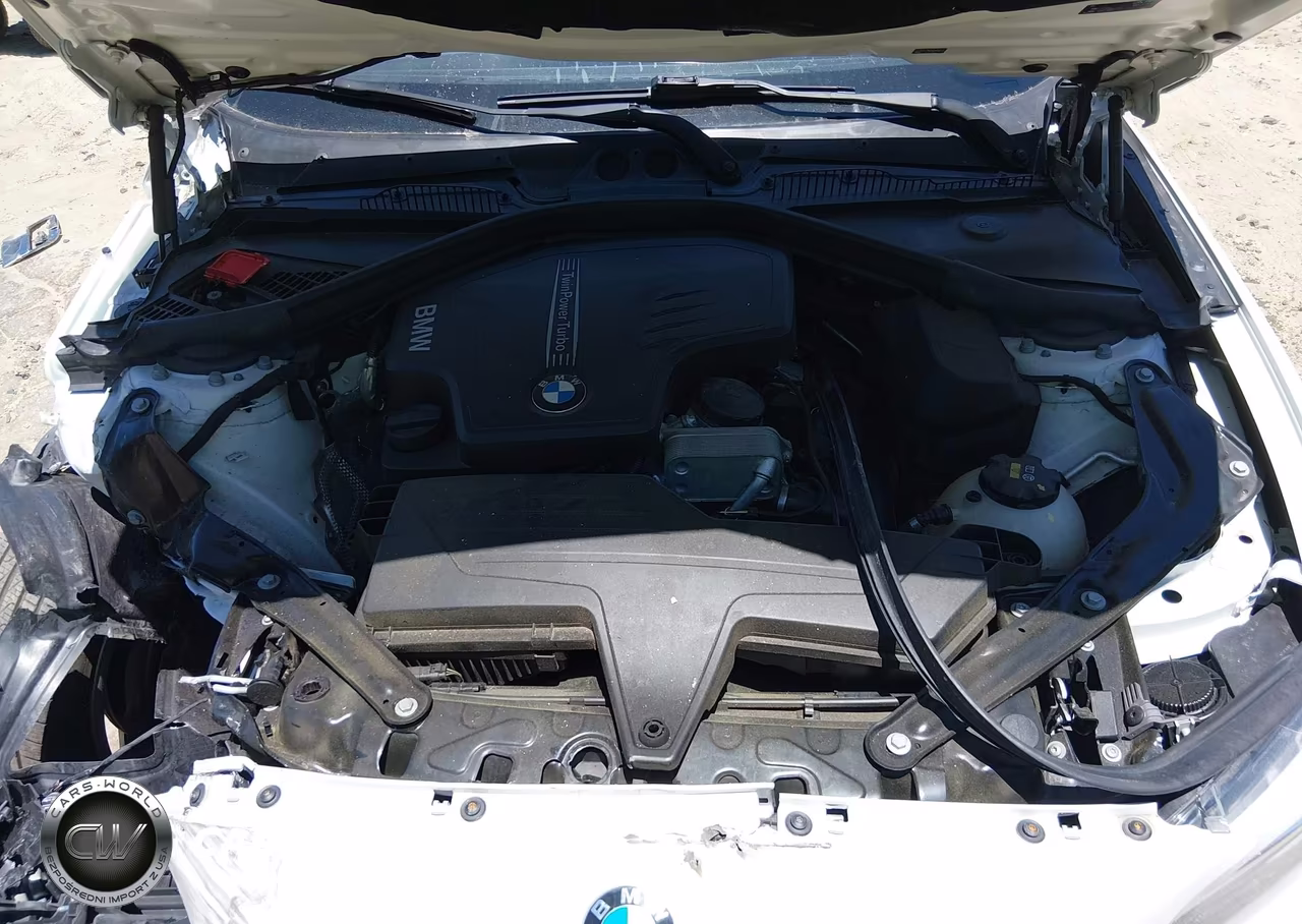 2016 BMW 228I VIN:WBA1K9C56GV710363 - 10