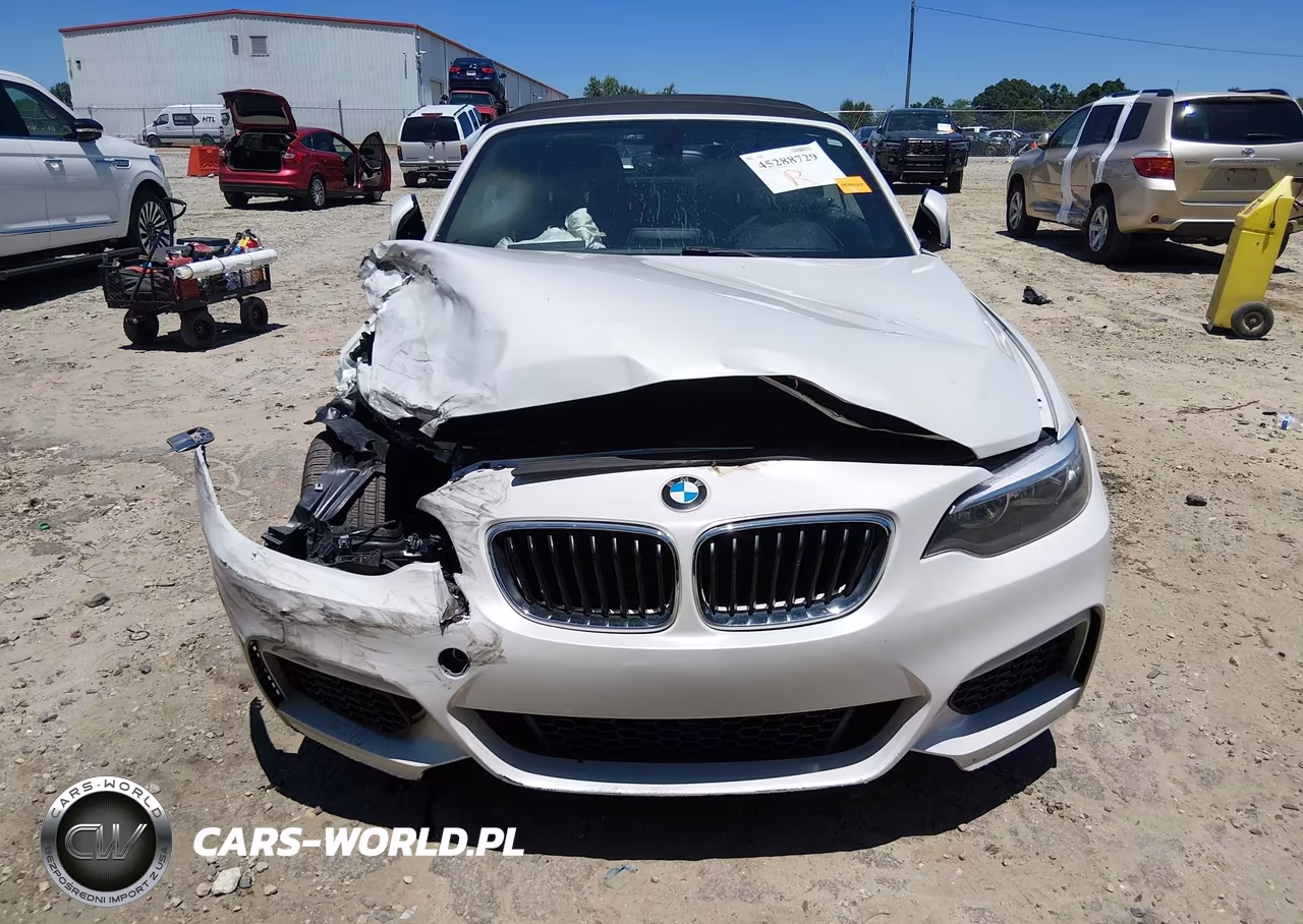 2016 BMW 228I VIN:WBA1K9C56GV710363 - 13