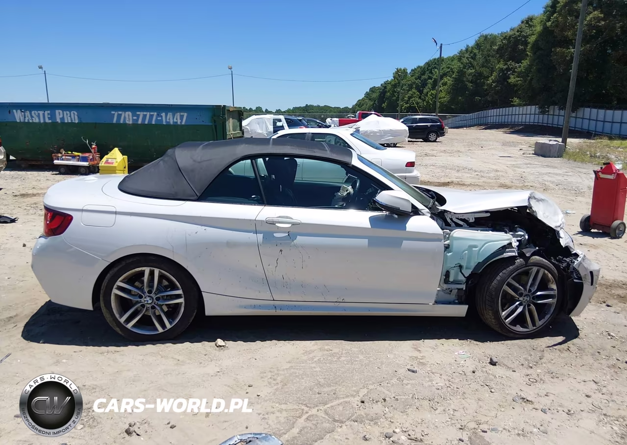 2016 BMW 228I VIN:WBA1K9C56GV710363 - 14