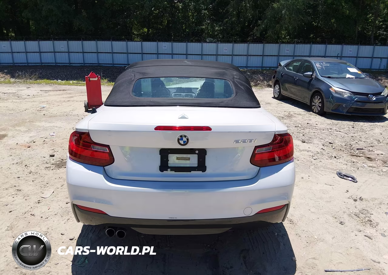 2016 BMW 228I VIN:WBA1K9C56GV710363 - 17