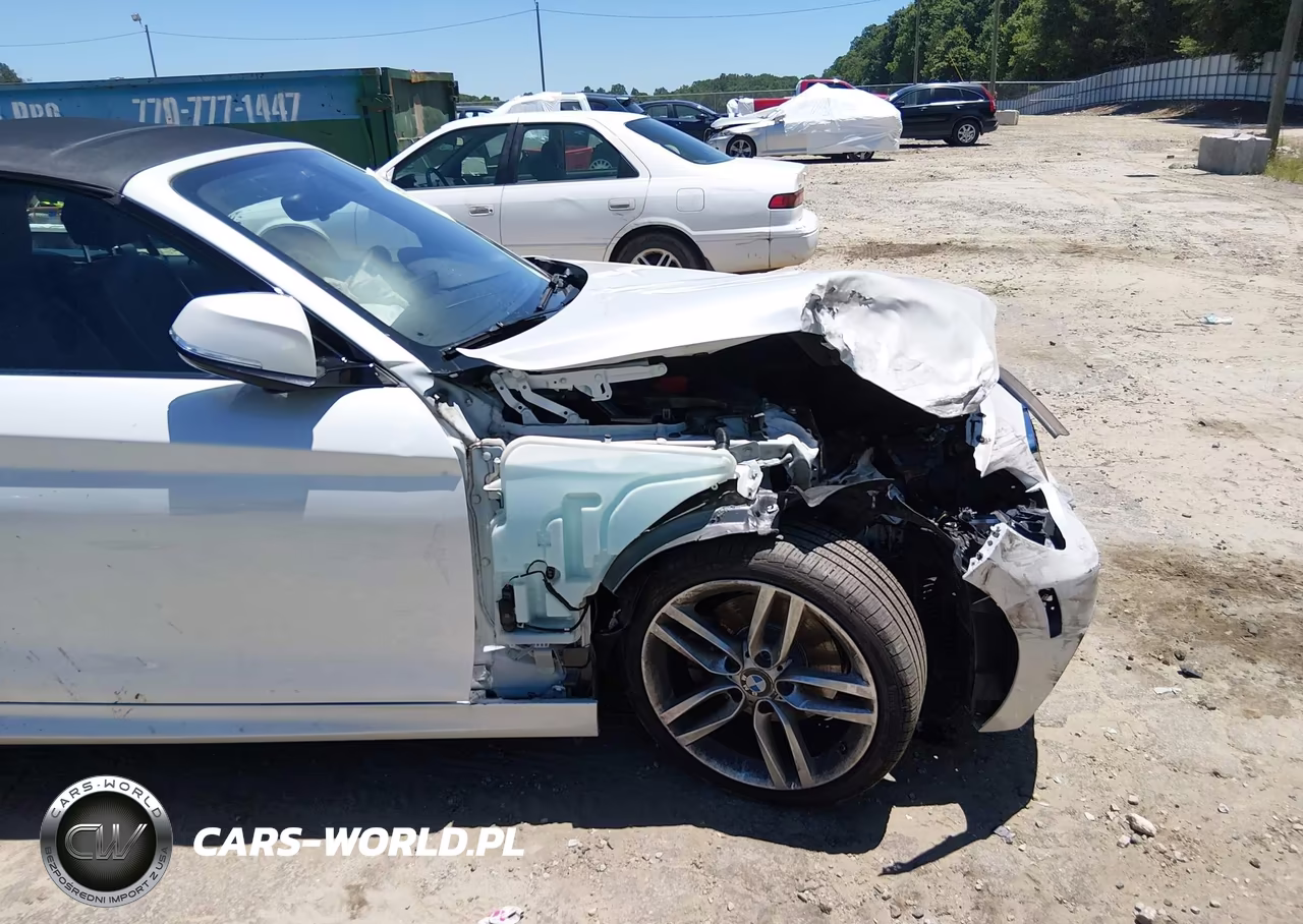 2016 BMW 228I VIN:WBA1K9C56GV710363 - 19