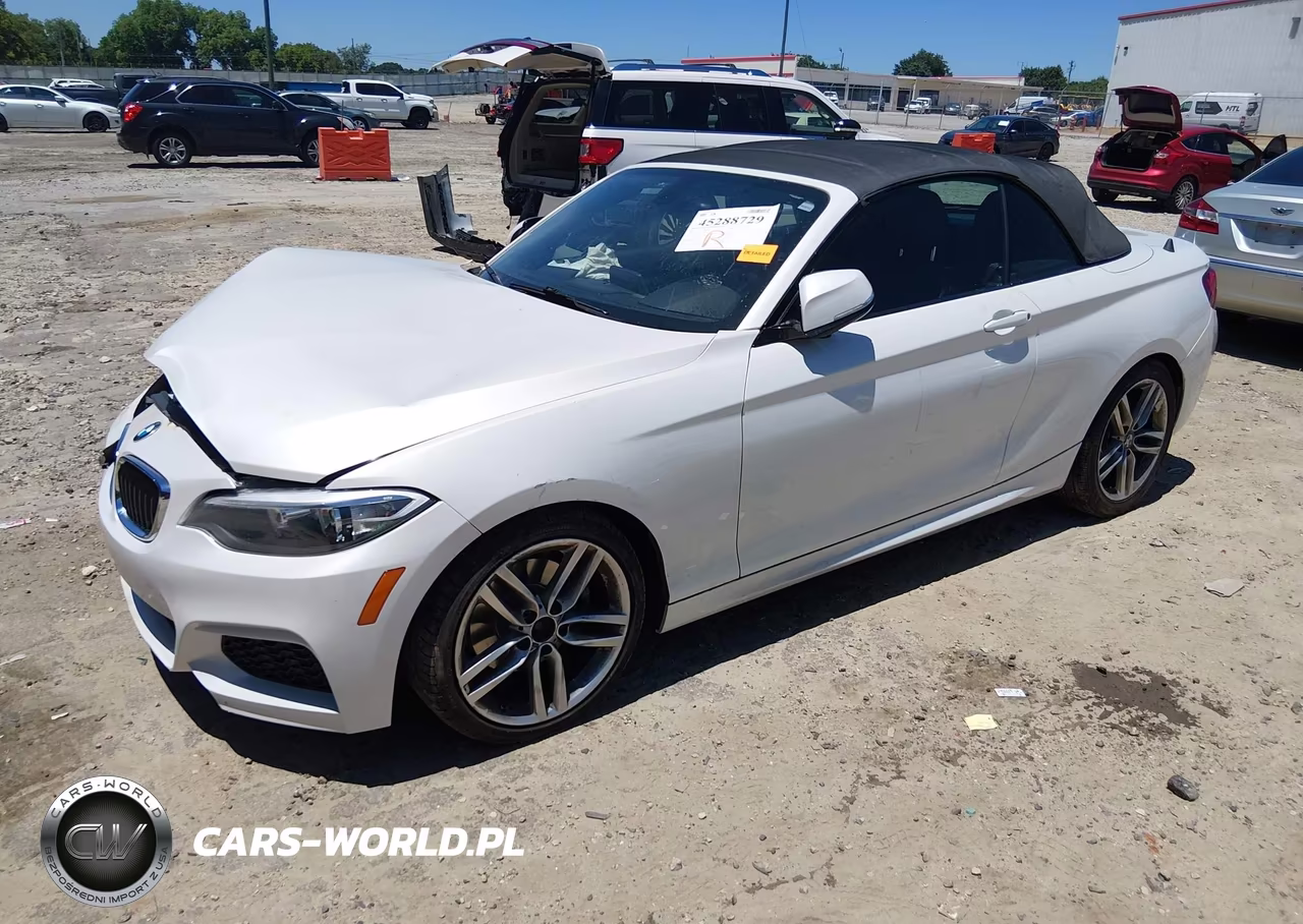 2016 BMW 228I VIN:WBA1K9C56GV710363 - 2