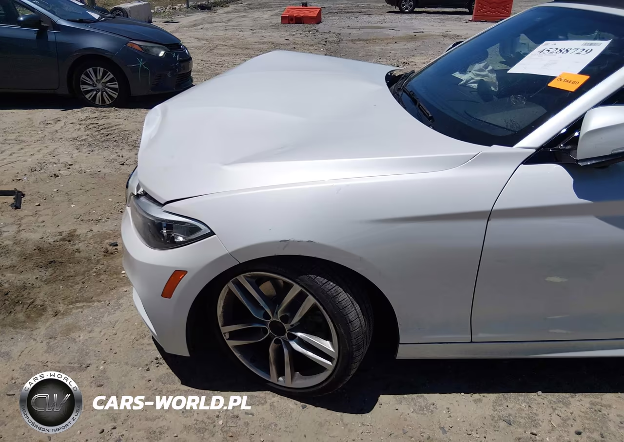 2016 BMW 228I VIN:WBA1K9C56GV710363 - 20