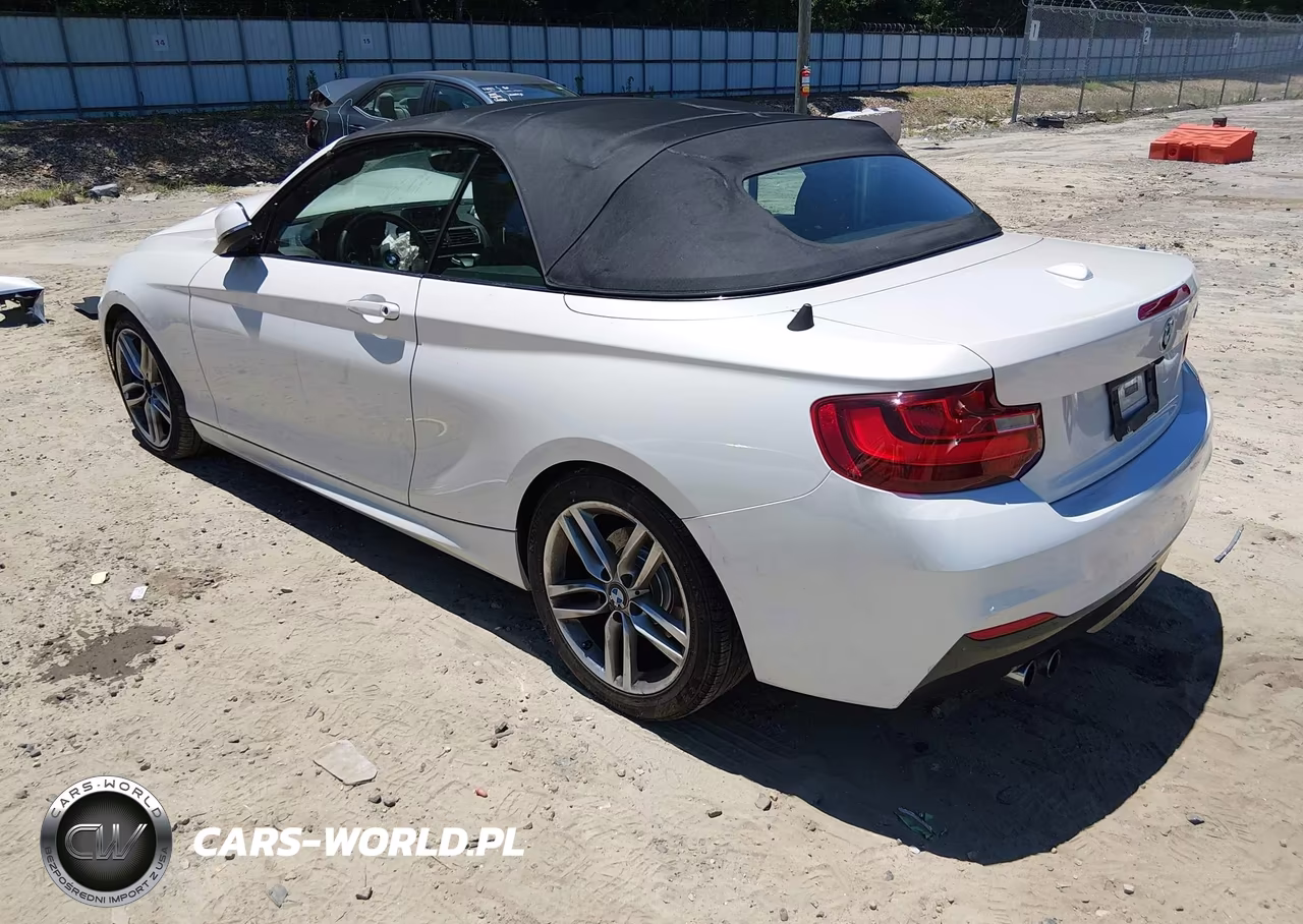 2016 BMW 228I VIN:WBA1K9C56GV710363 - 3