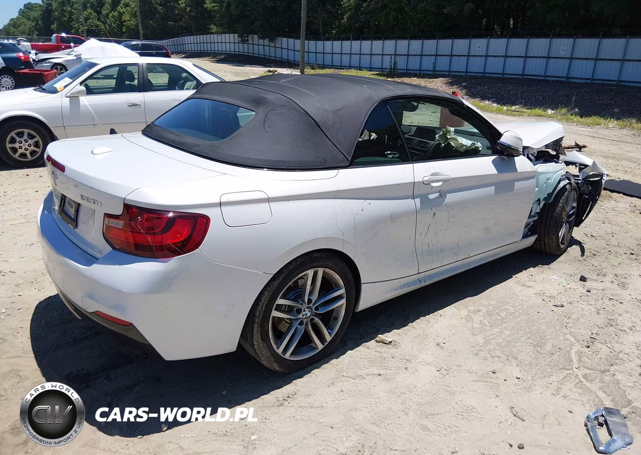2016 BMW 228I VIN:WBA1K9C56GV710363 - 4