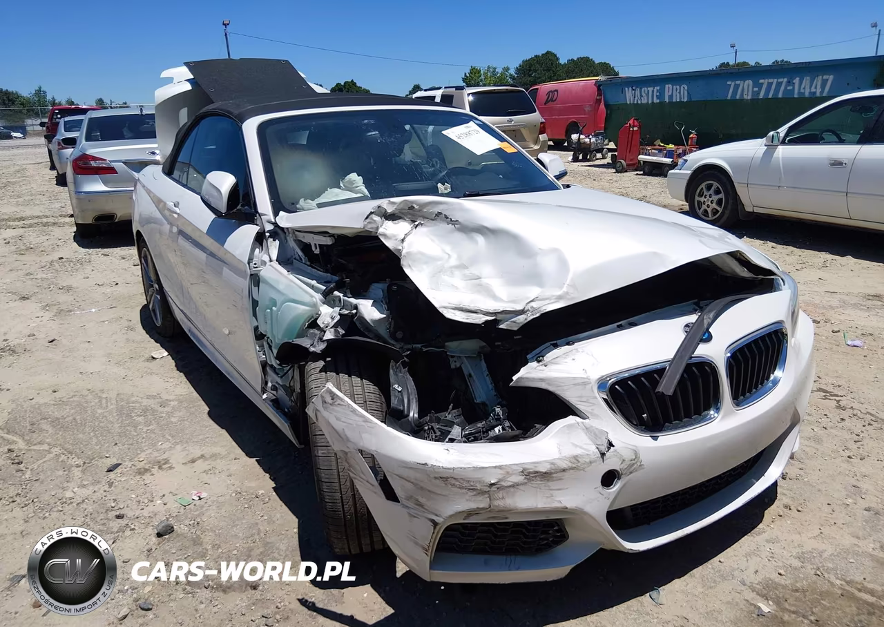 2016 BMW 228I VIN:WBA1K9C56GV710363 - 6
