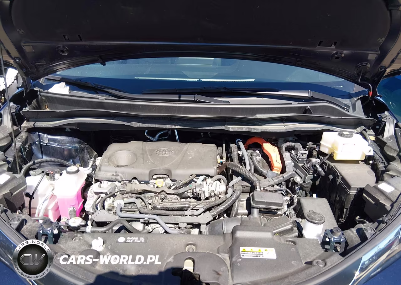 2024 Toyota Sienna Xle VIN:5TDYSKFC4RS143022 - 10