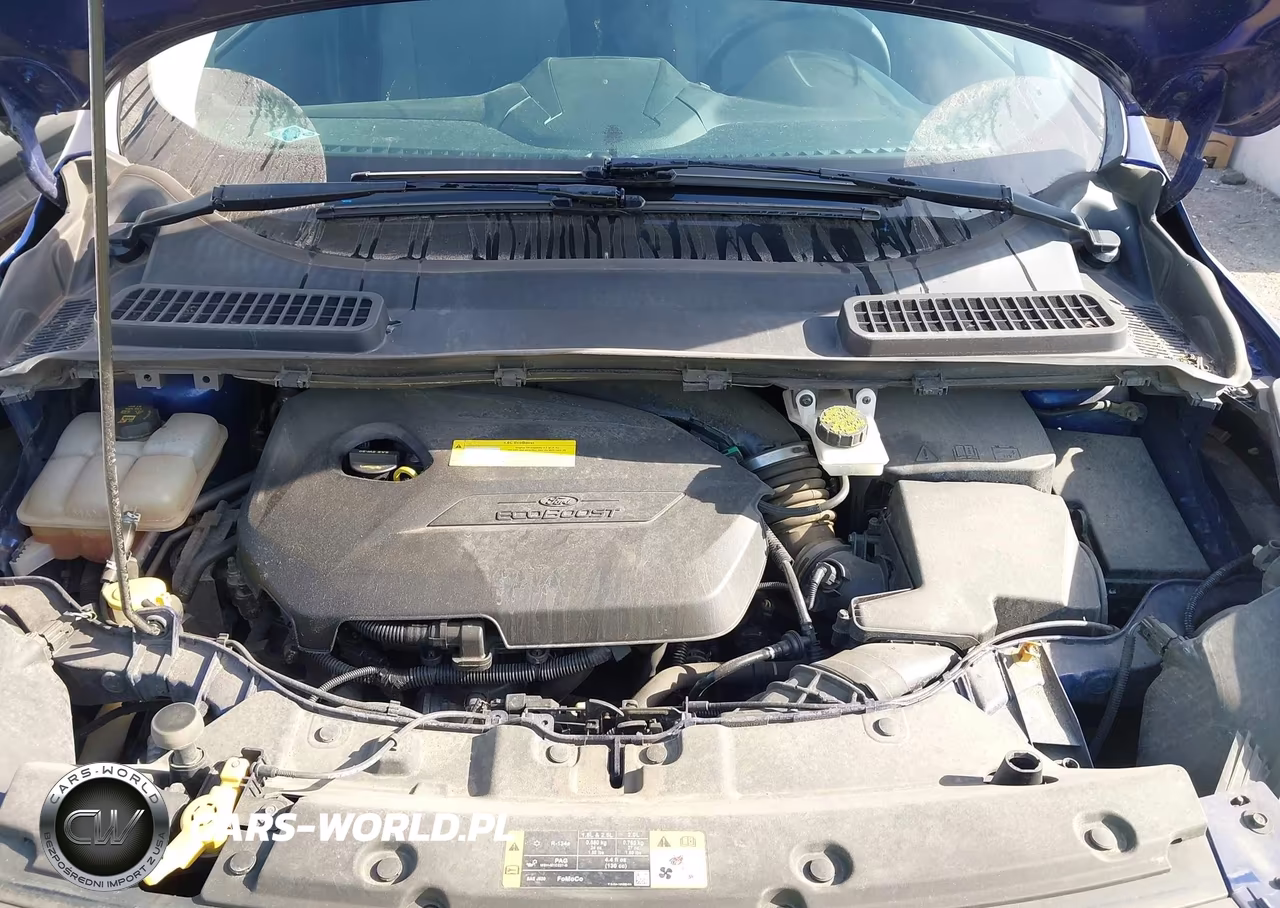 2016 Ford Escape Se VIN:1FMCU0GX5GUC56721 - 10