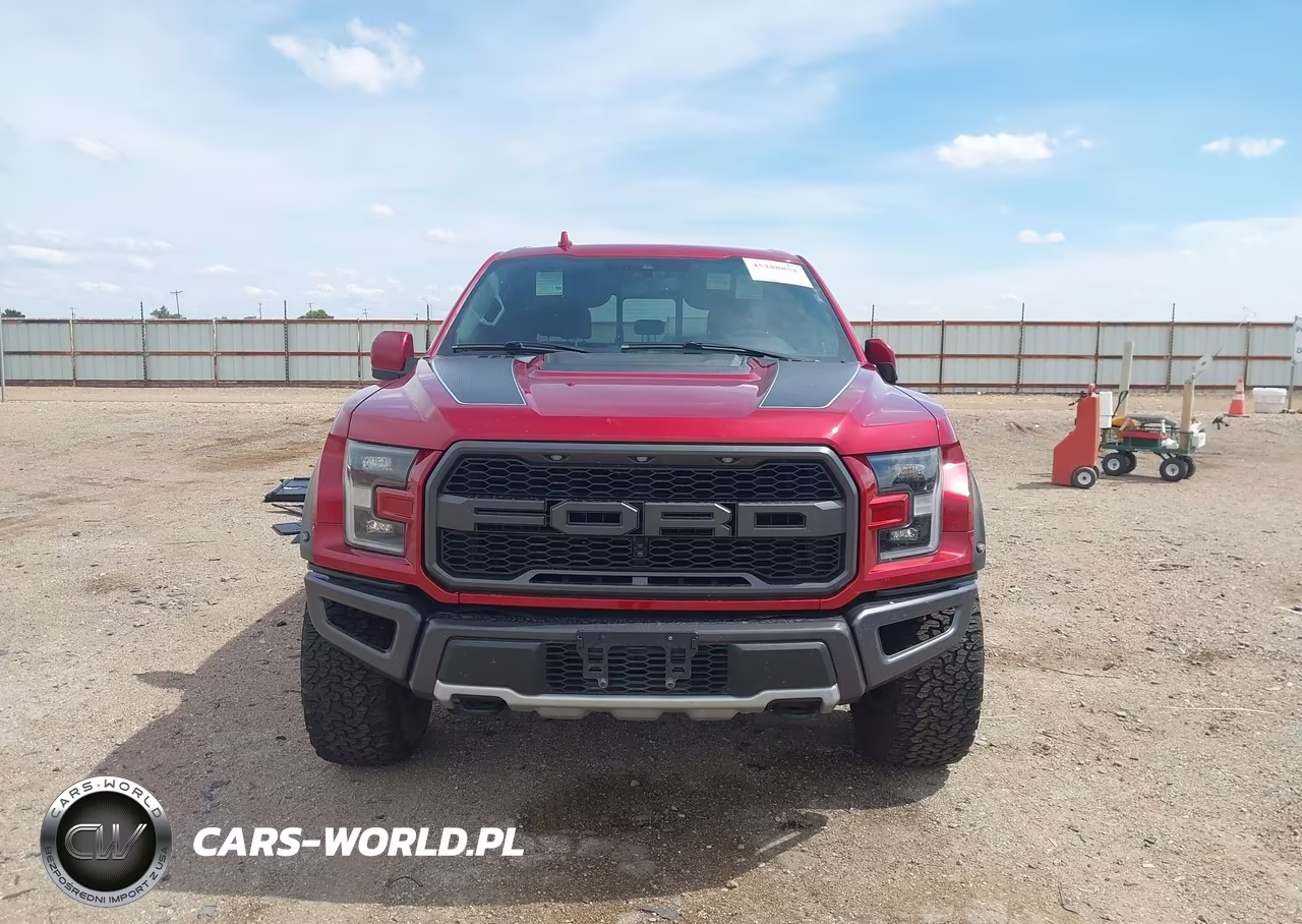 2019 Ford F-150 Raptor VIN:1FTFW1RG7KFA60808 - 12