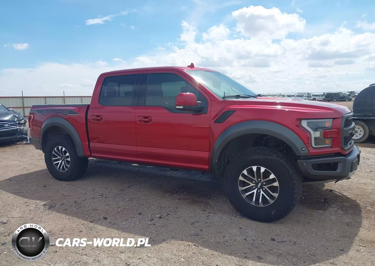 2019 Ford F-150 Raptor VIN:1FTFW1RG7KFA60808 - 13