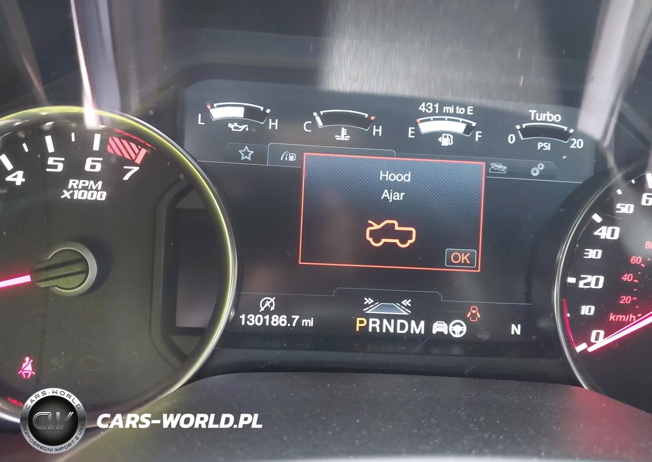 2019 Ford F-150 Raptor VIN:1FTFW1RG7KFA60808 - 15