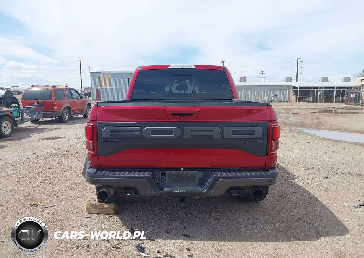 2019 Ford F-150 Raptor VIN:1FTFW1RG7KFA60808 - 16