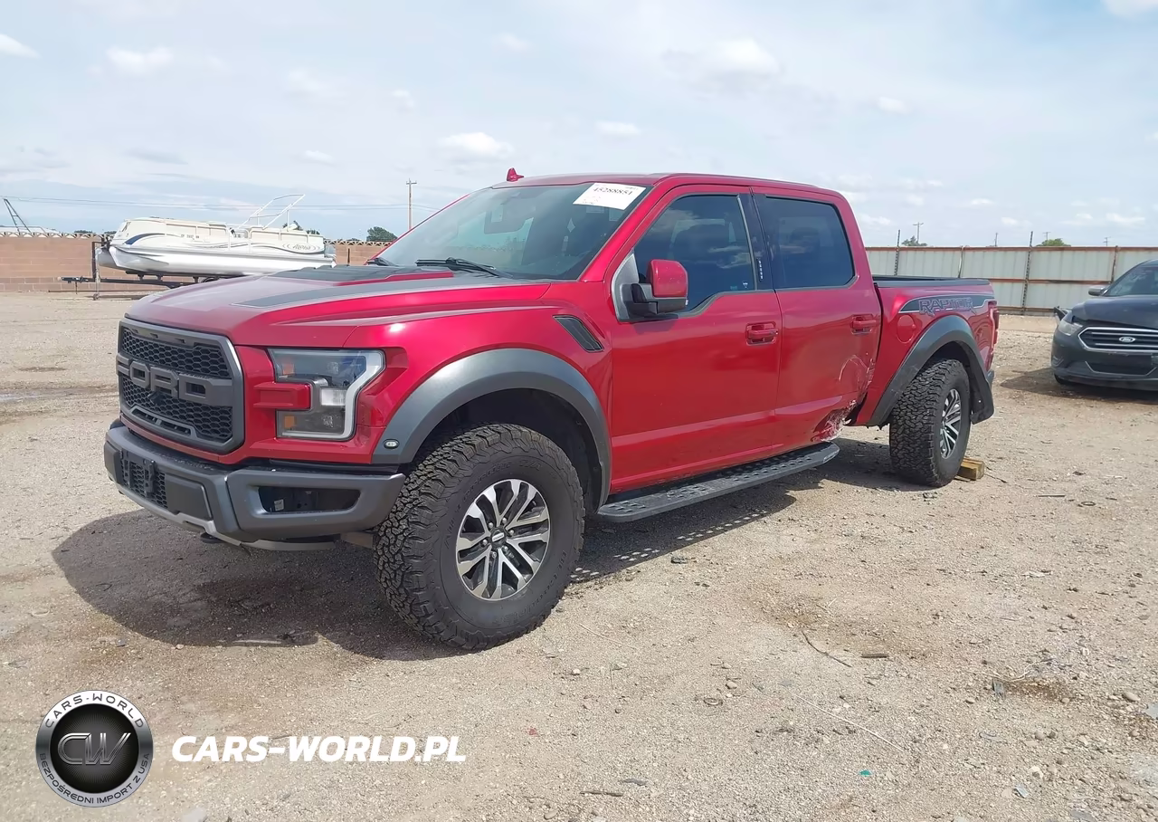 2019 Ford F-150 Raptor VIN:1FTFW1RG7KFA60808 - 2