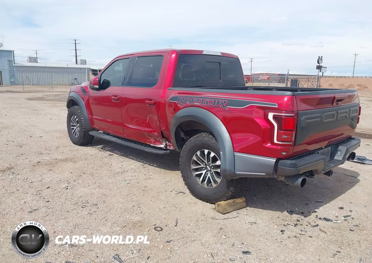 2019 Ford F-150 Raptor VIN:1FTFW1RG7KFA60808 - 3