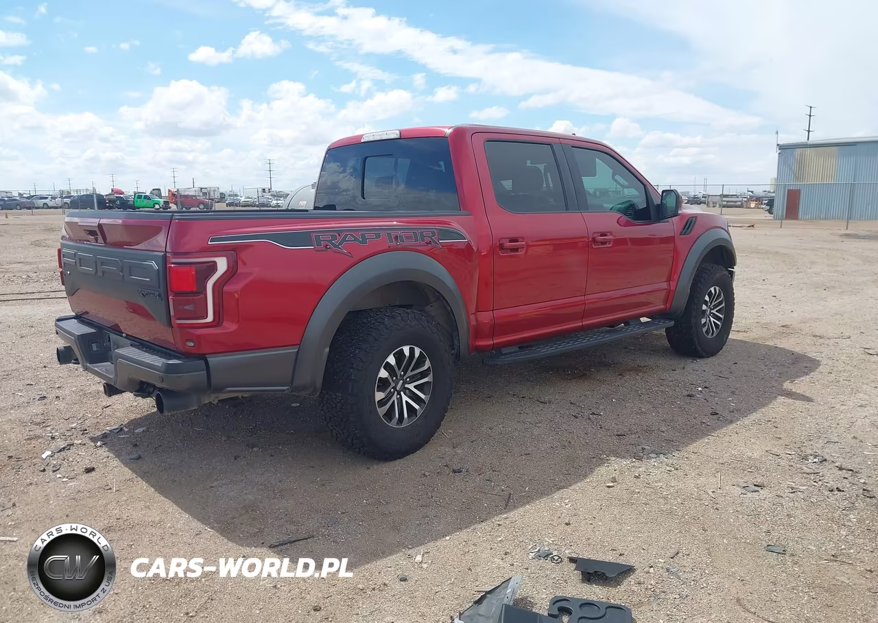 2019 Ford F-150 Raptor VIN:1FTFW1RG7KFA60808 - 4