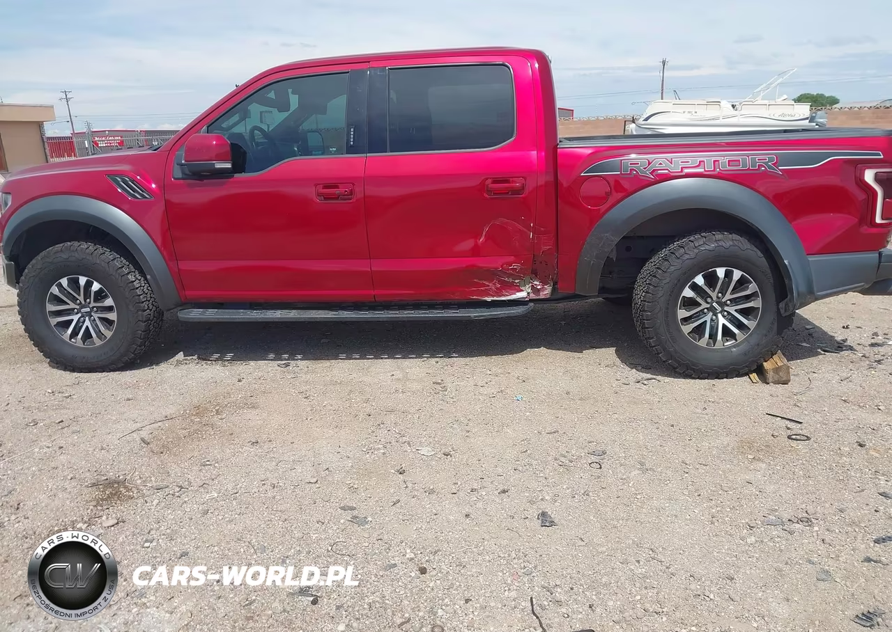 2019 Ford F-150 Raptor VIN:1FTFW1RG7KFA60808 - 6
