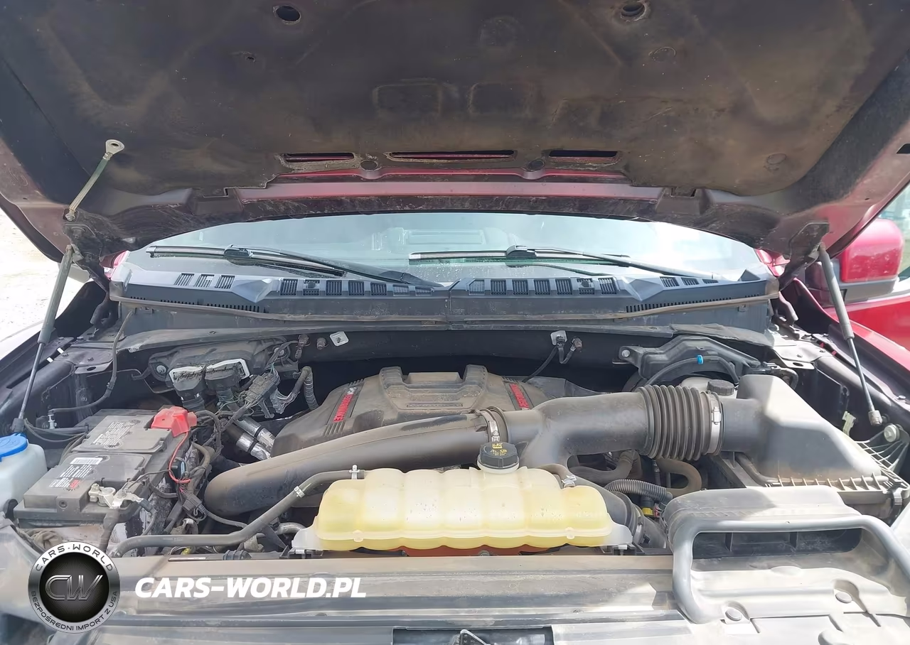 2019 Ford F-150 Raptor VIN:1FTFW1RG7KFA60808 - 9