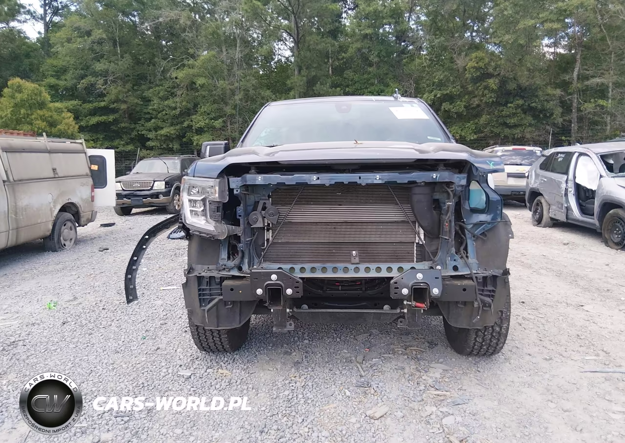 2020 GMC Sierra 1500 4Wd Short Box At4 VIN:3GTP9EEL2LG380687 - 13
