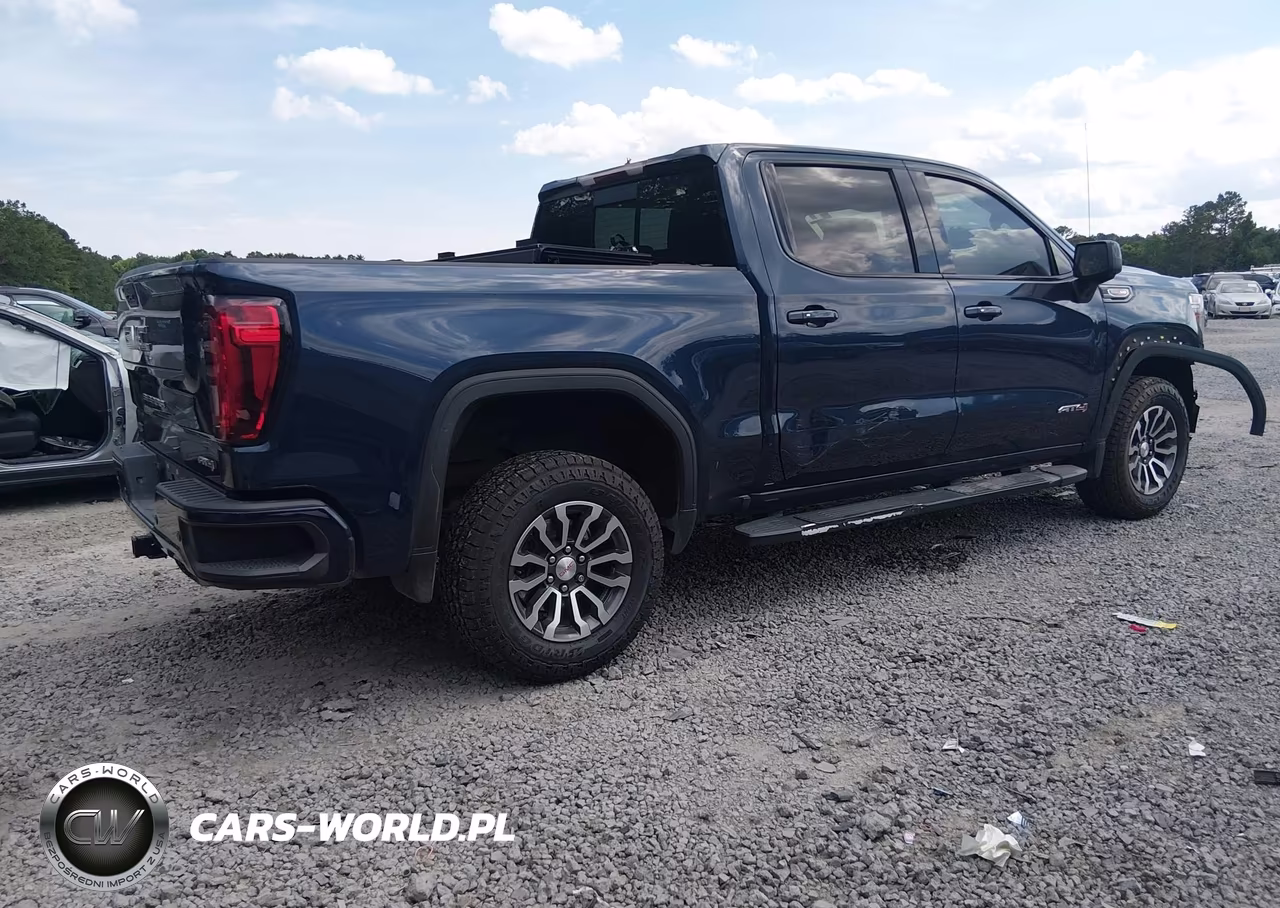 2020 GMC Sierra 1500 4Wd Short Box At4 VIN:3GTP9EEL2LG380687 - 4