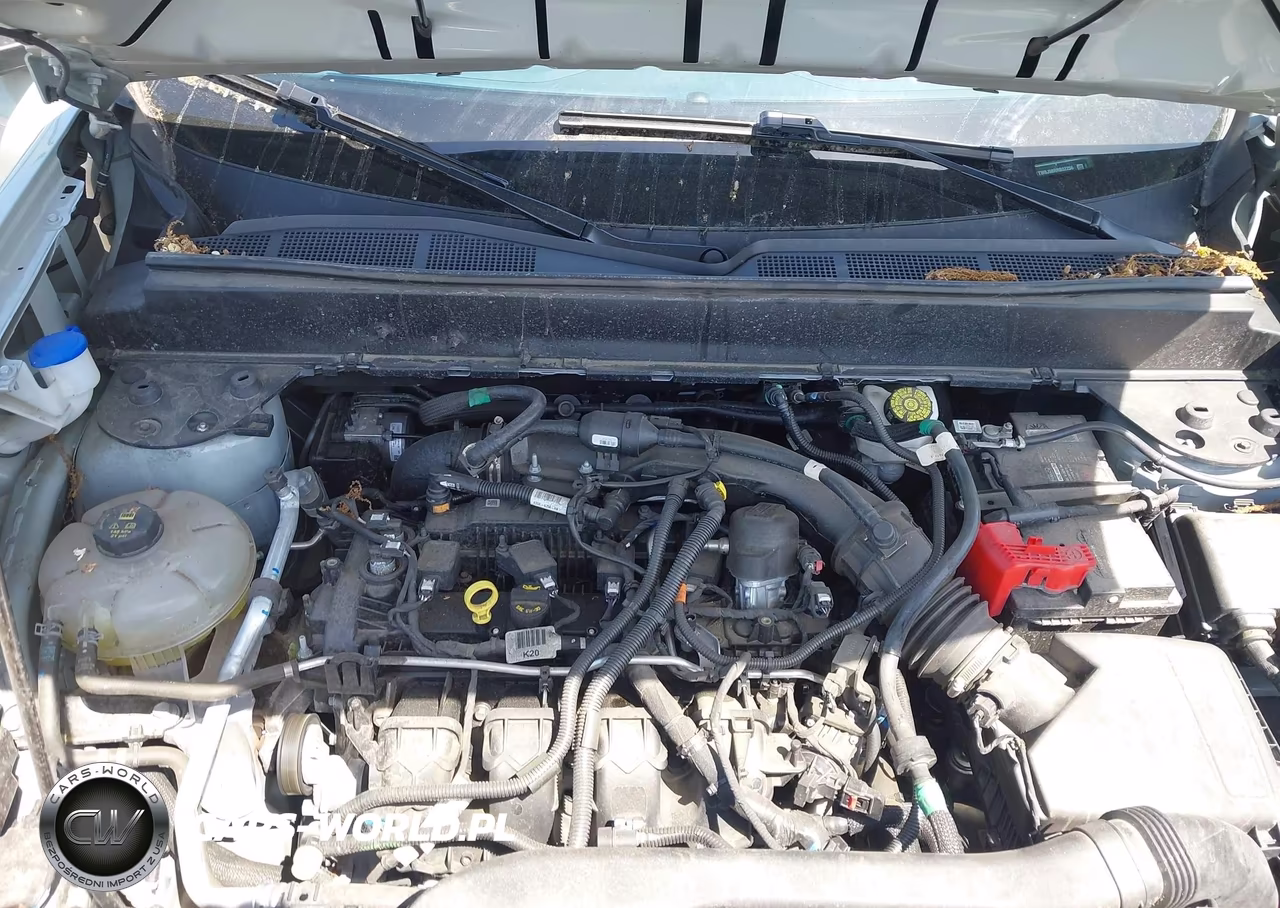 2024 Ford Maverick Xlt VIN:3FTTW8J98RRB52256 - 10