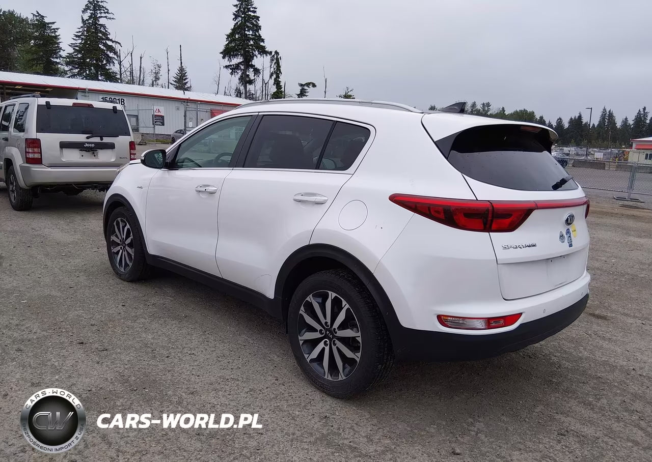 2017 Kia Sportage Ex VIN:KNDPNCAC1H7200706 - 3