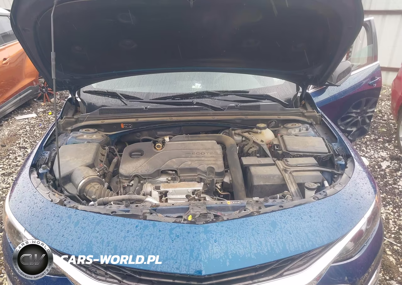 2019 Chevrolet Malibu 1Ls VIN:1G1ZB5ST4KF205562 - 10