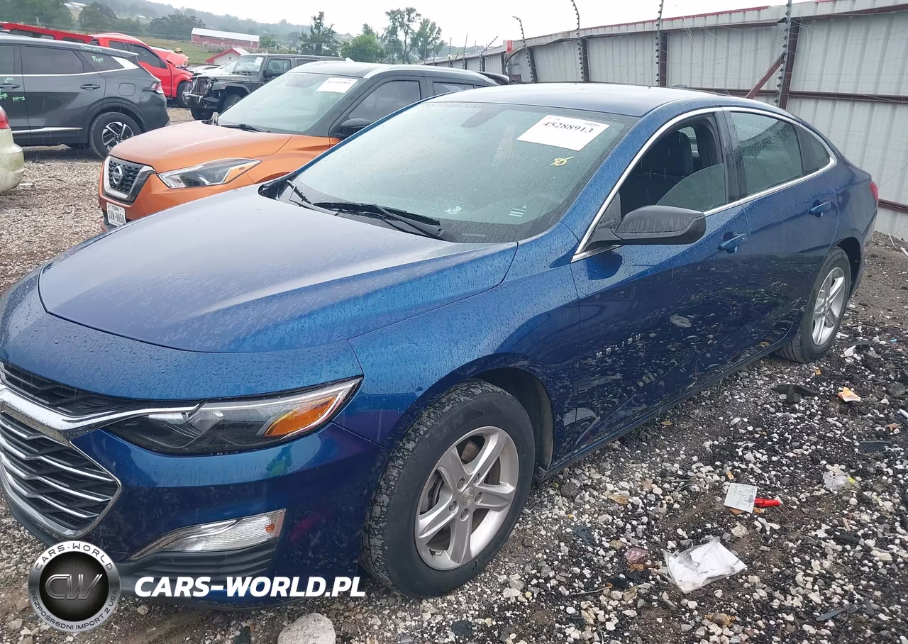 2019 Chevrolet Malibu 1Ls VIN:1G1ZB5ST4KF205562 - 2
