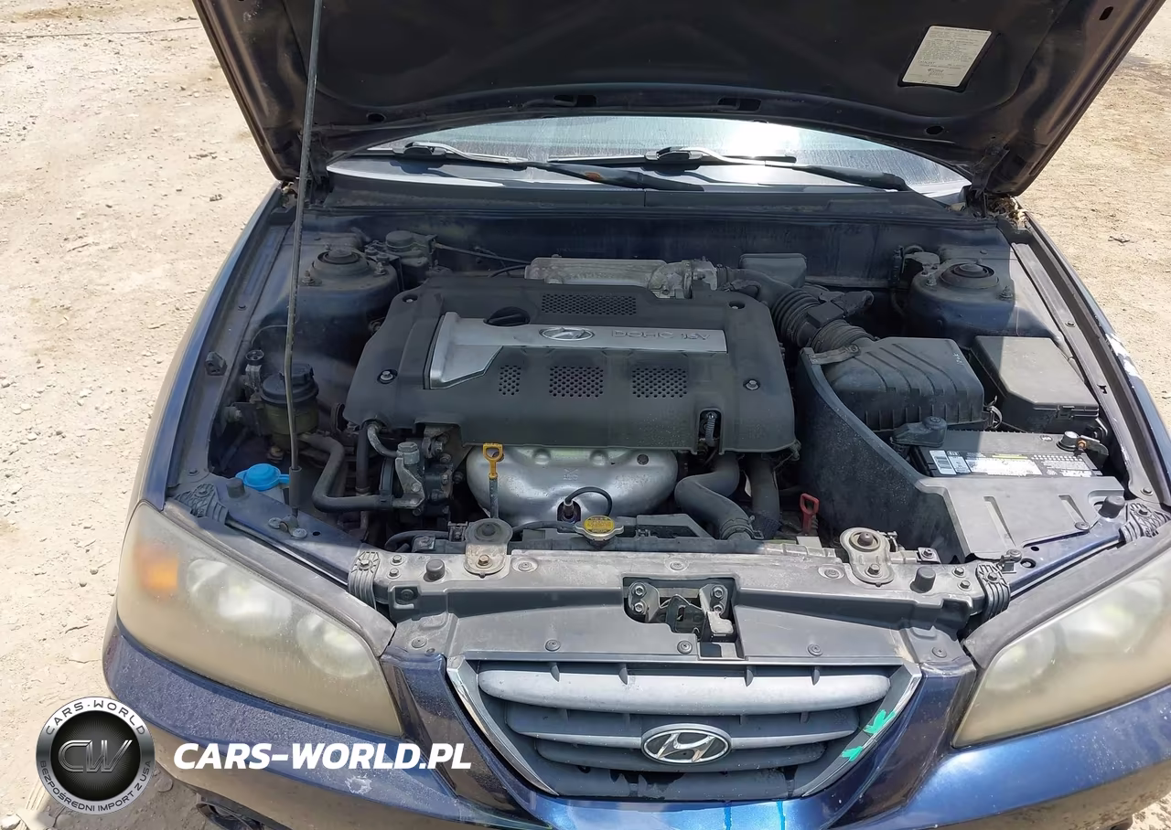 2005 Hyundai Elantra Gls-Gt VIN:KMHDN46D85U981095 - 10