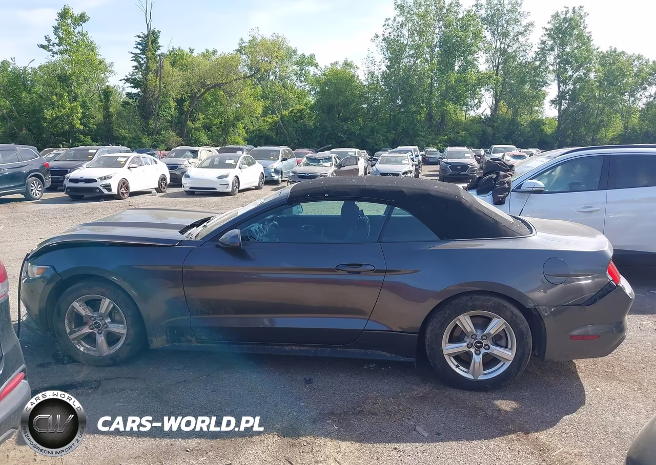 2015 Ford Mustang V6 VIN:1FATP8EM8F5359908 - 13