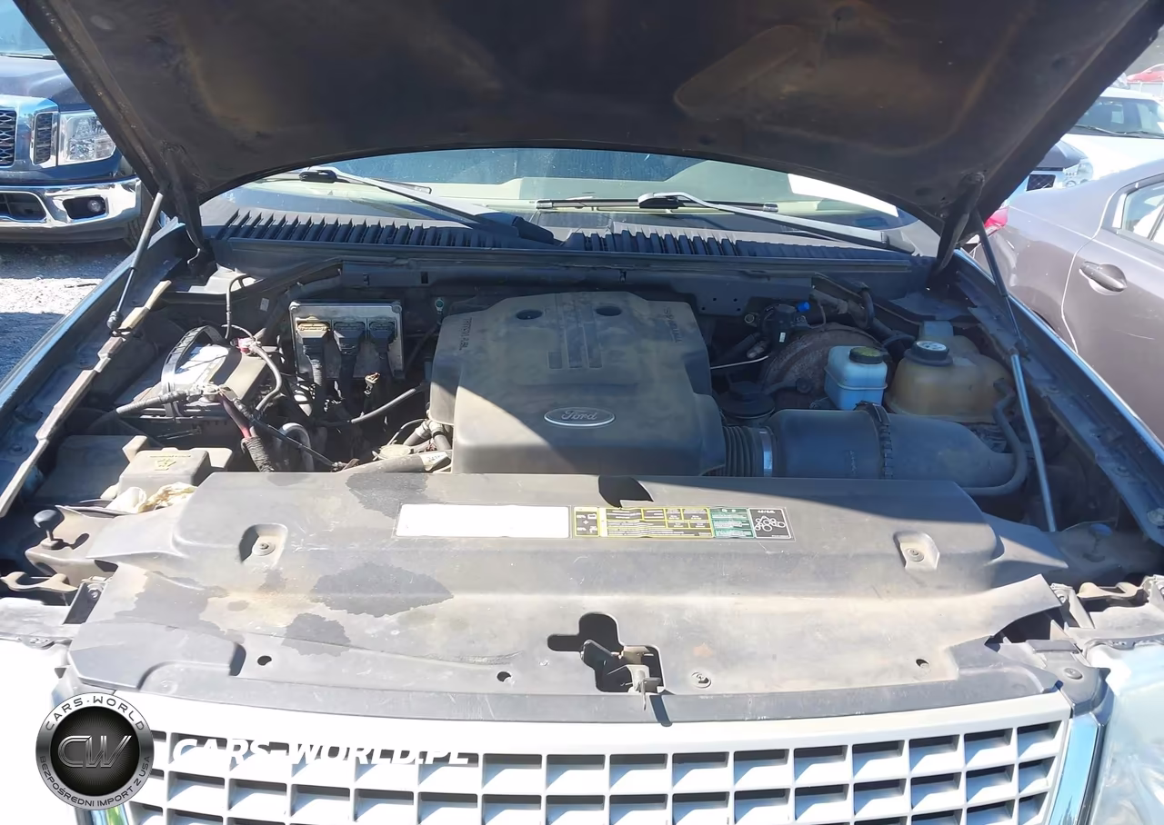 2004 Ford Expedition Eddie Bauer VIN:1FMRU17W34LB59168 - 10