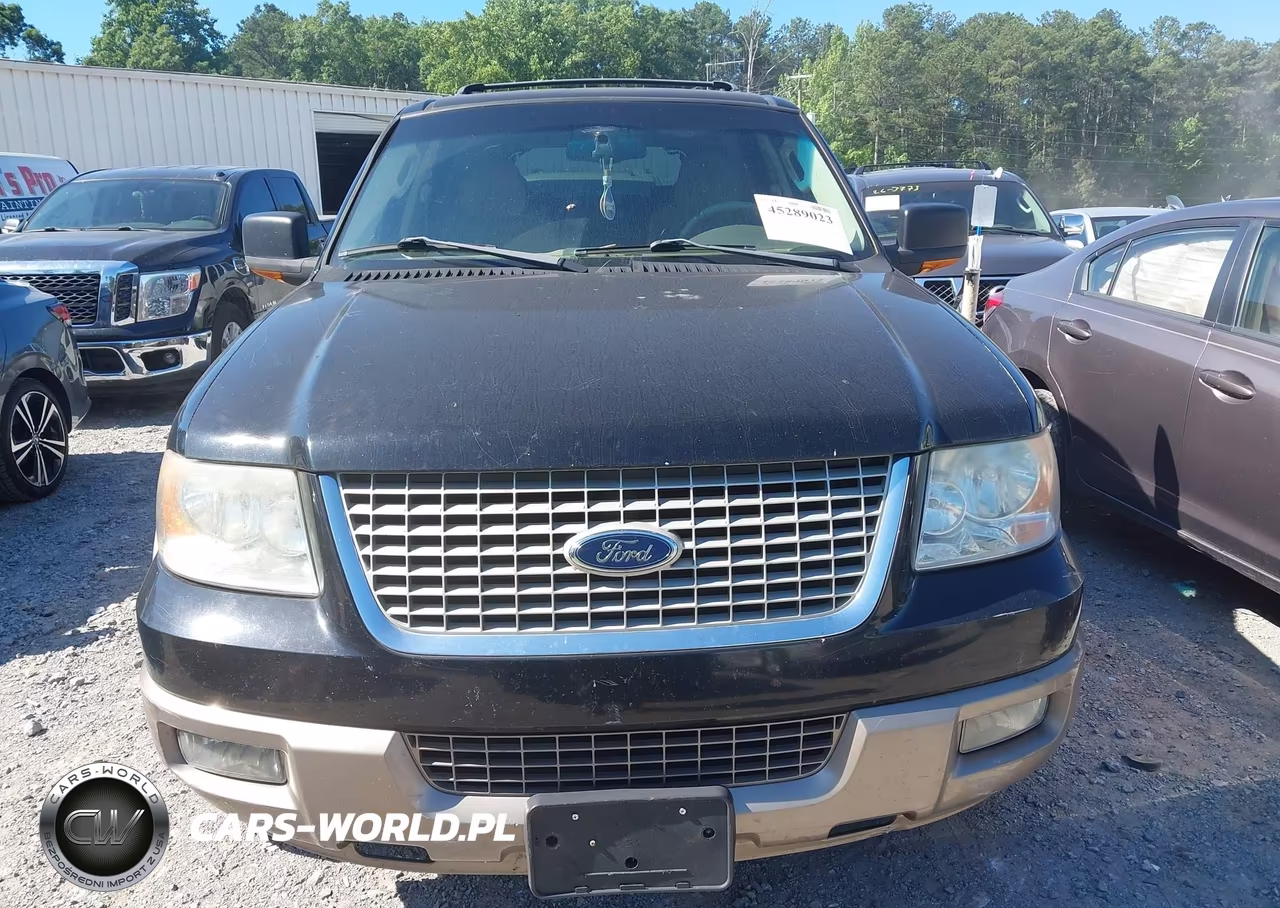 2004 Ford Expedition Eddie Bauer VIN:1FMRU17W34LB59168 - 12