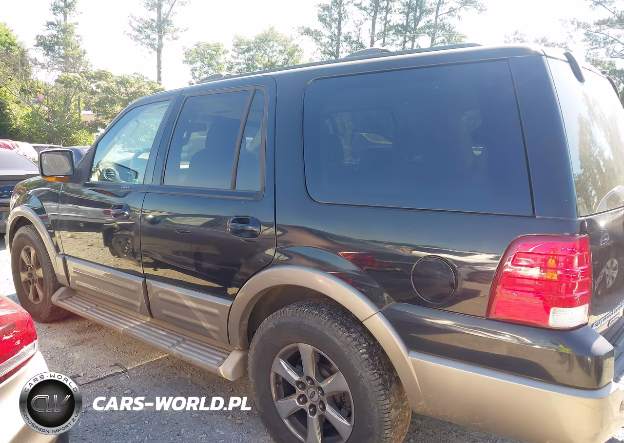 2004 Ford Expedition Eddie Bauer VIN:1FMRU17W34LB59168 - 14