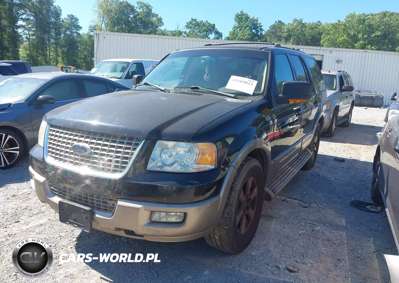 2004 Ford Expedition Eddie Bauer VIN:1FMRU17W34LB59168 - 2