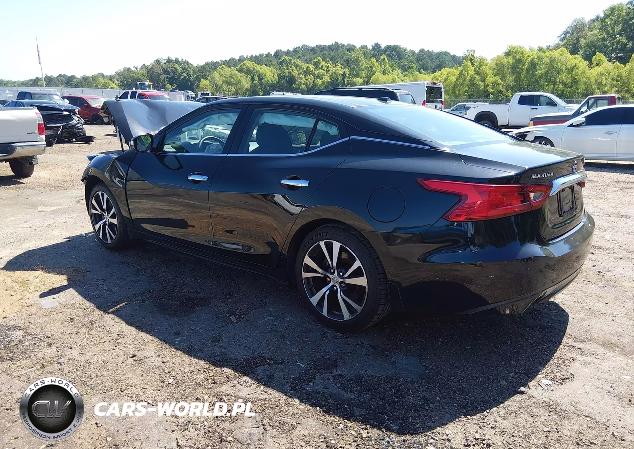 2017 Nissan Maxima 3.5 Platinum VIN:1N4AA6AP3HC395517 - 3