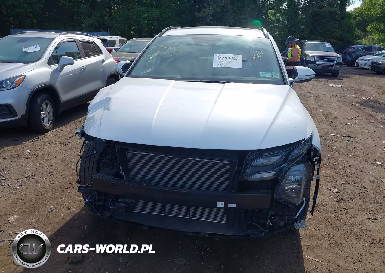 2025 Hyundai Tucson Sel Convenience VIN:3KMJCCDE8SE007627 - 12