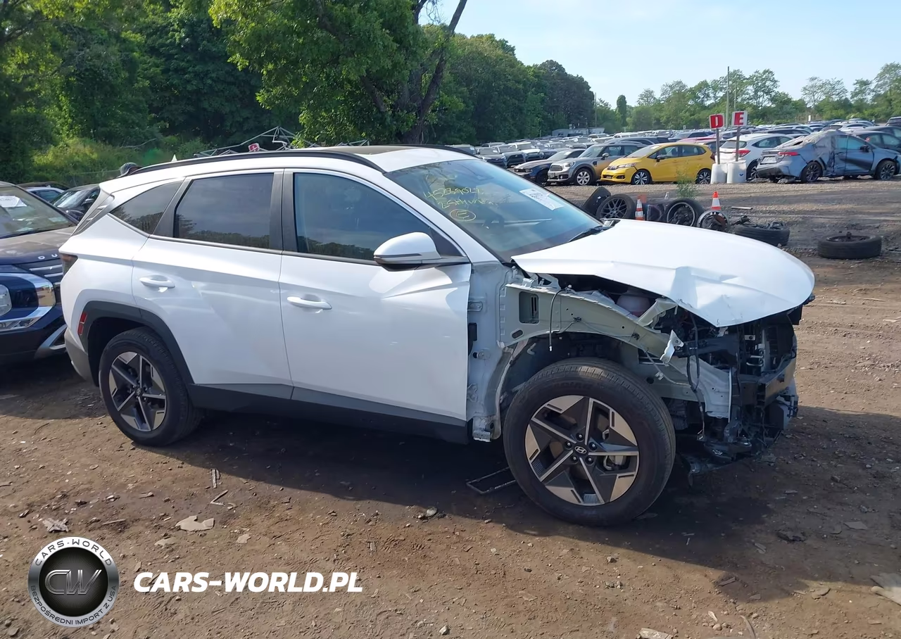 2025 Hyundai Tucson Sel Convenience VIN:3KMJCCDE8SE007627 - 13