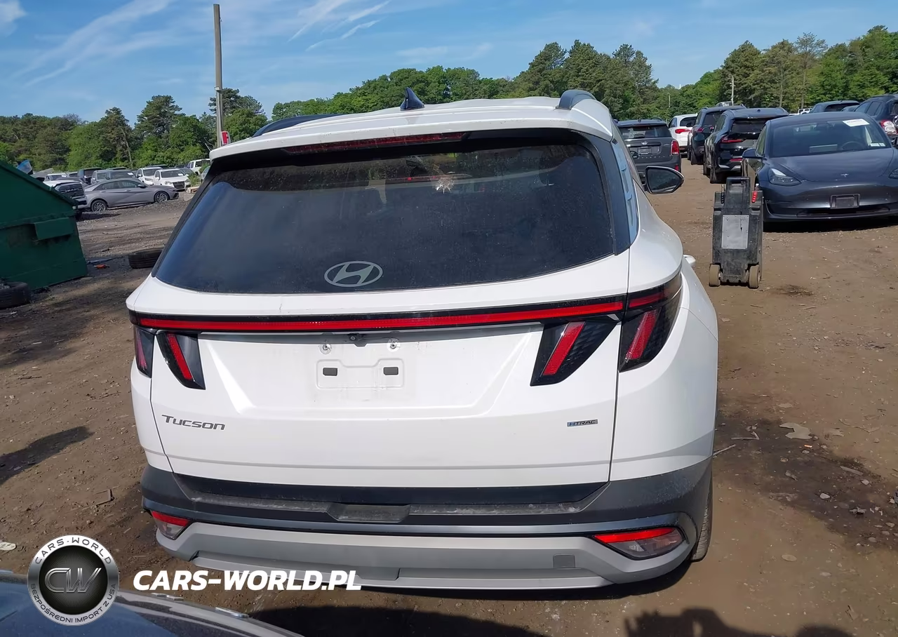 2025 Hyundai Tucson Sel Convenience VIN:3KMJCCDE8SE007627 - 16